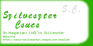 szilveszter csucs business card